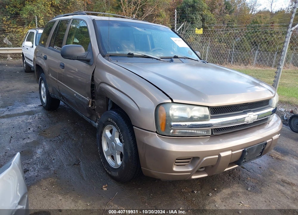 2002 CHEVROLET TRAILBLAZER VIN: 1GNDT13S022479322