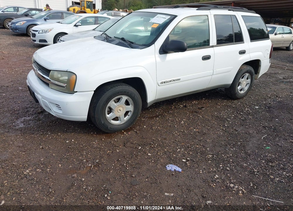 2002 CHEVROLET TRAILBLAZER LS VIN: 1GNDT13S622423417