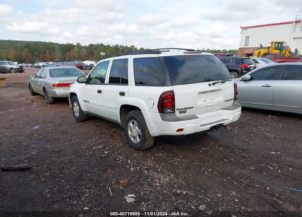 2002 CHEVROLET TRAILBLAZER LS VIN: 1GNDT13S622423417