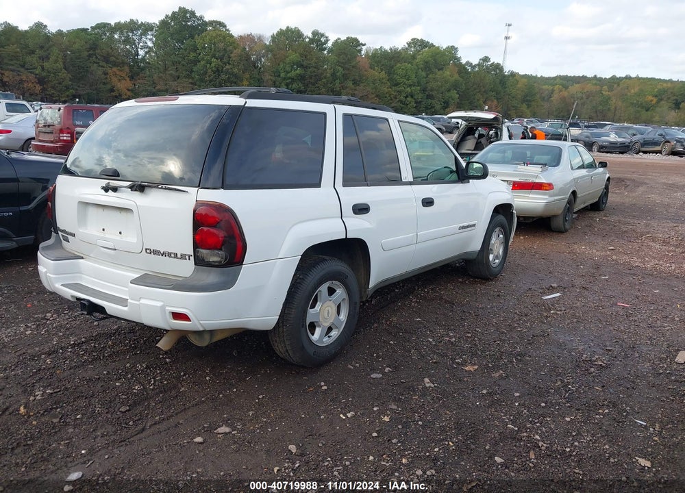 2002 CHEVROLET TRAILBLAZER LS VIN: 1GNDT13S622423417