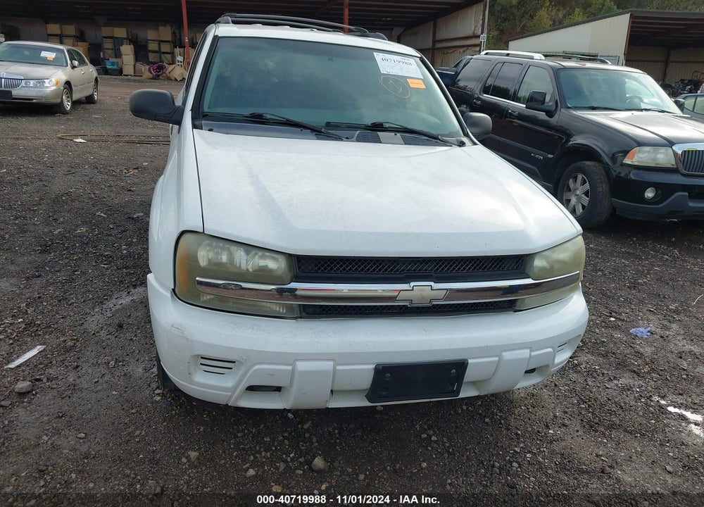2002 CHEVROLET TRAILBLAZER LS VIN: 1GNDT13S622423417