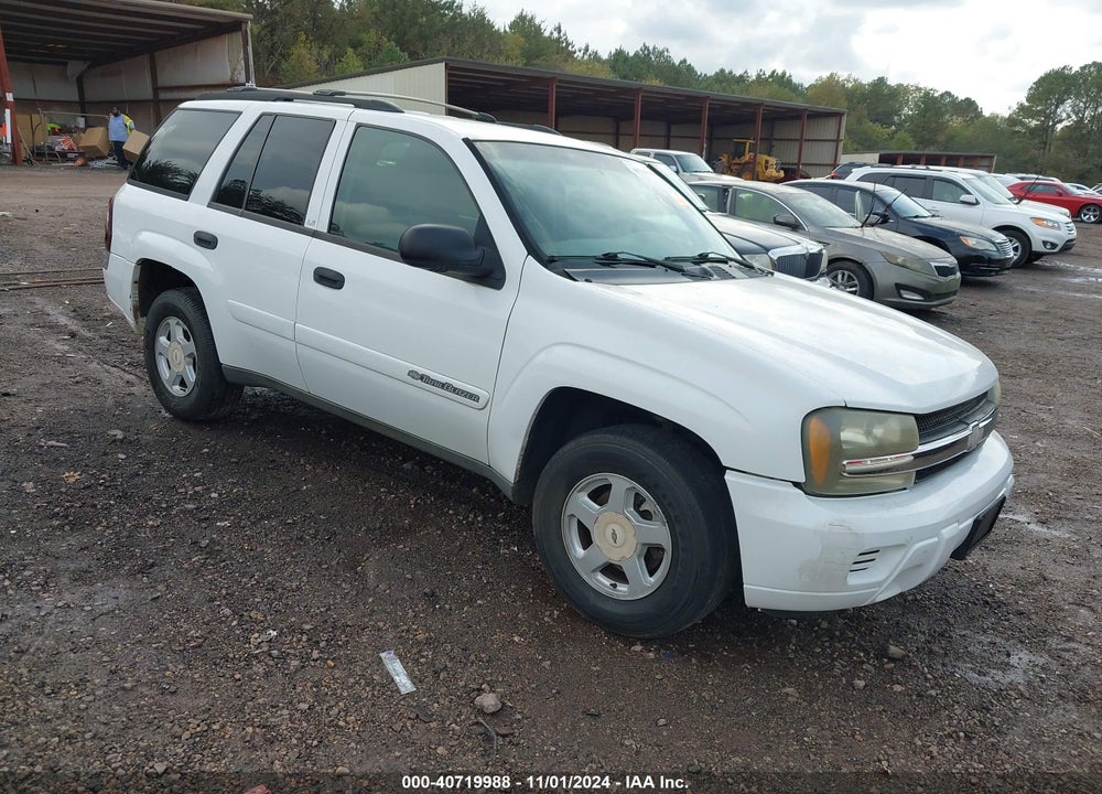 2002 CHEVROLET TRAILBLAZER LS VIN: 1GNDT13S622423417