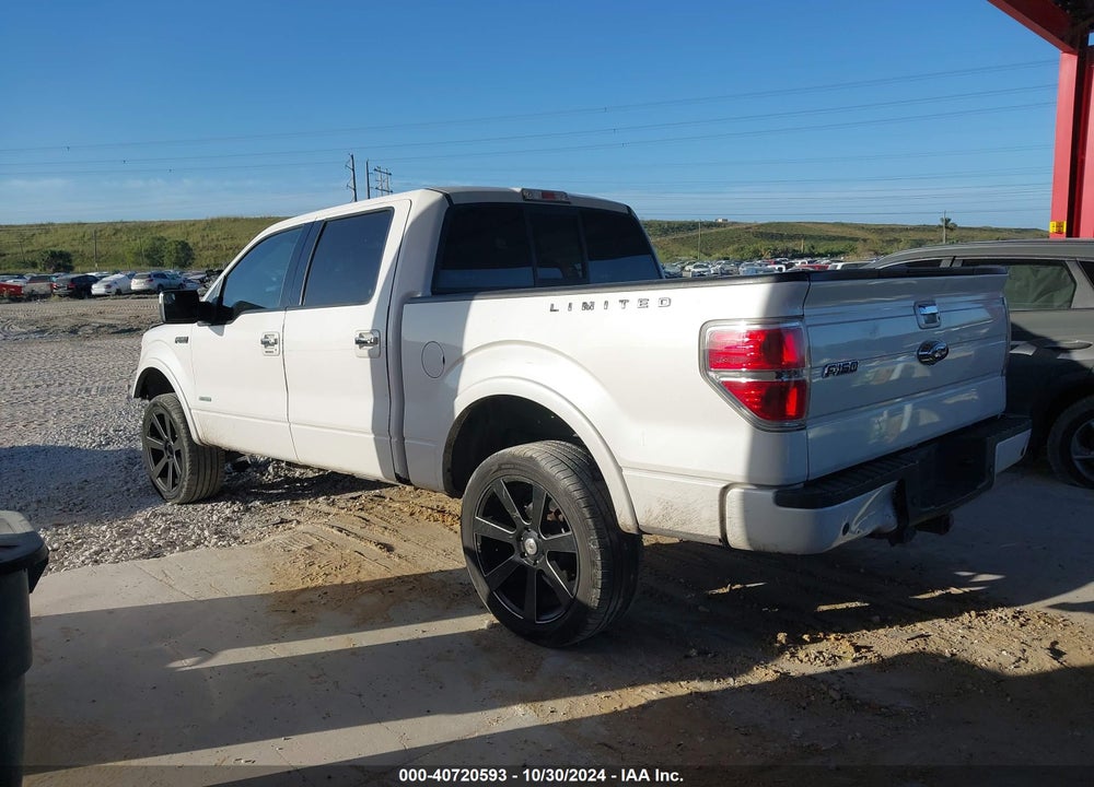 2013 FORD F150 VIN: 1FTFW1ETXDFB13071