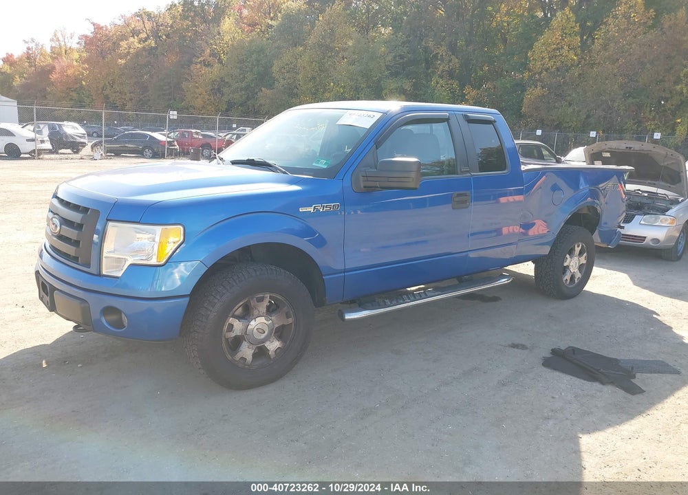 2010 FORD F-150 STX/XL VIN: 1FTEX1EW0AFD48450