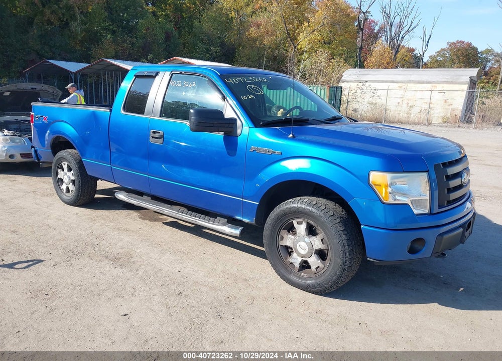 2010 FORD F-150 STX/XL VIN: 1FTEX1EW0AFD48450