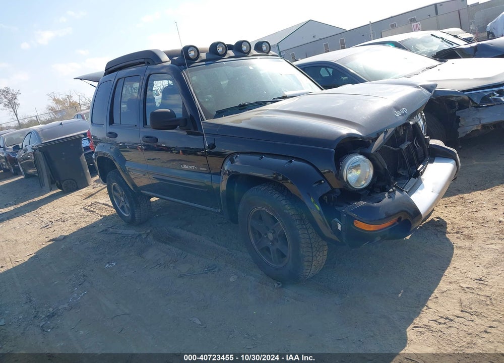 2003 JEEP LIBERTY RENEGADE VIN: 1J4GL38K53W516735