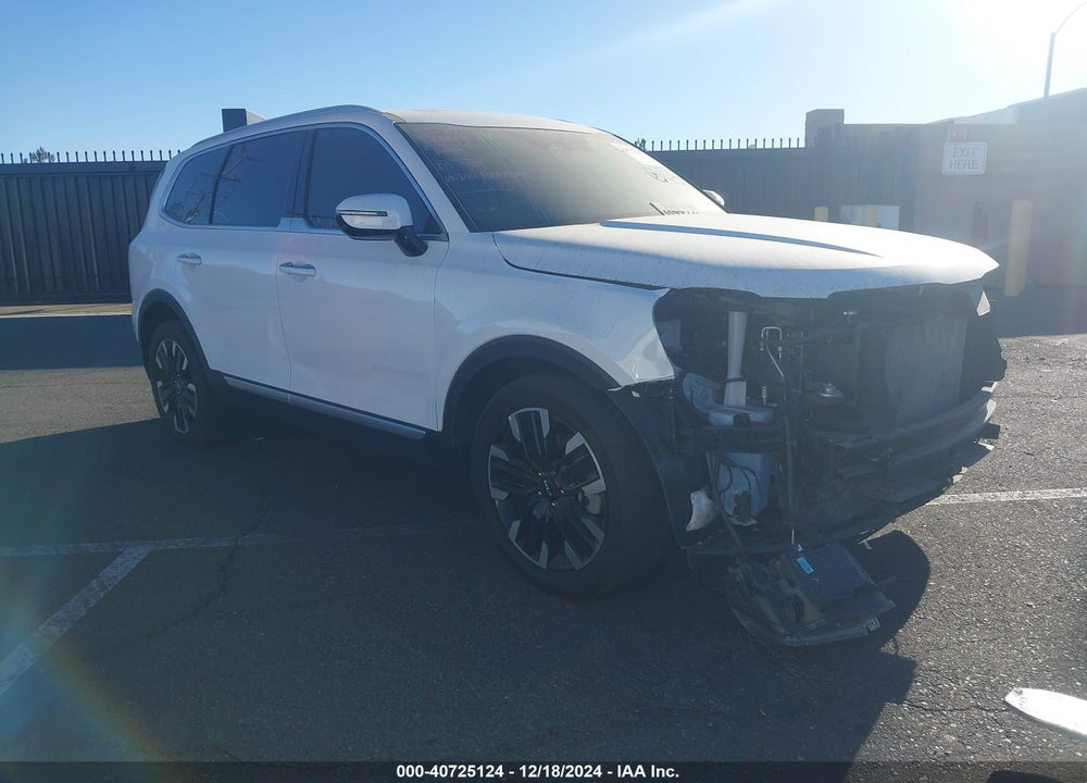 2024 KIA TELLURIDE SX PRESTIGE VIN: 5XYP5DGCXRG428141