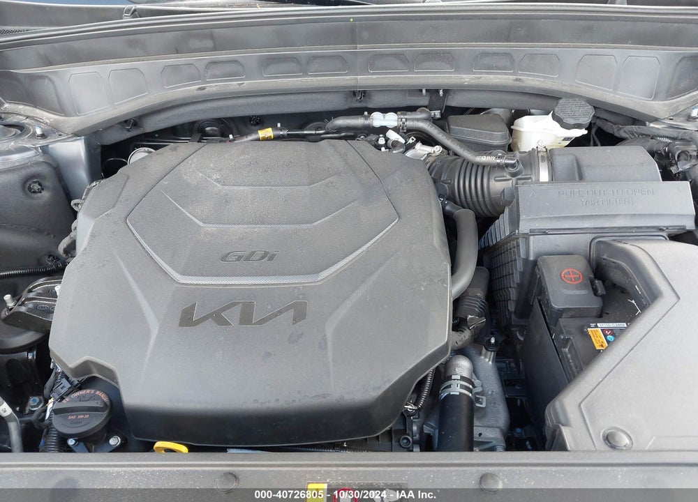 2024 KIA TELLURIDE VIN: 5XYP24GC4RG542225