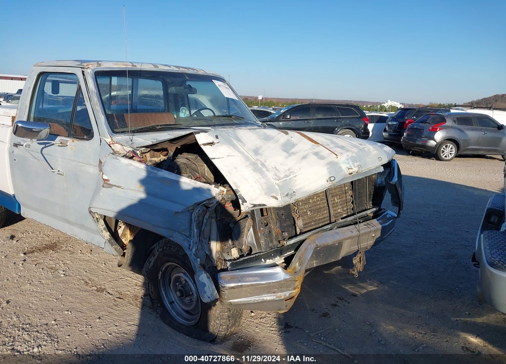 1981 FORD F150 VIN: 1FTDF15E5BRA32144