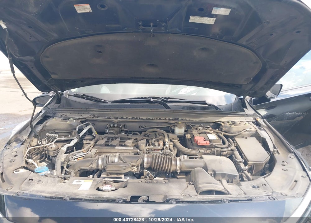 2019 HONDA ACCORD EX-L VIN: 1HGCV1F56KA064713
