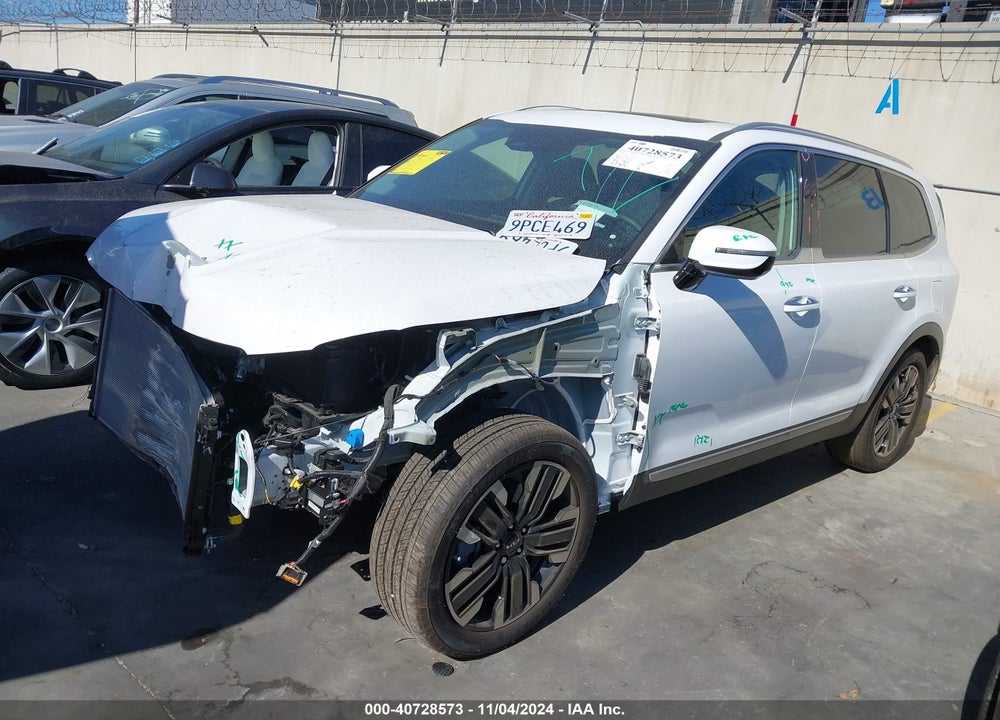 2024 KIA TELLURIDE SX PRESTIGE VIN: 5XYP5DGCXRG549297