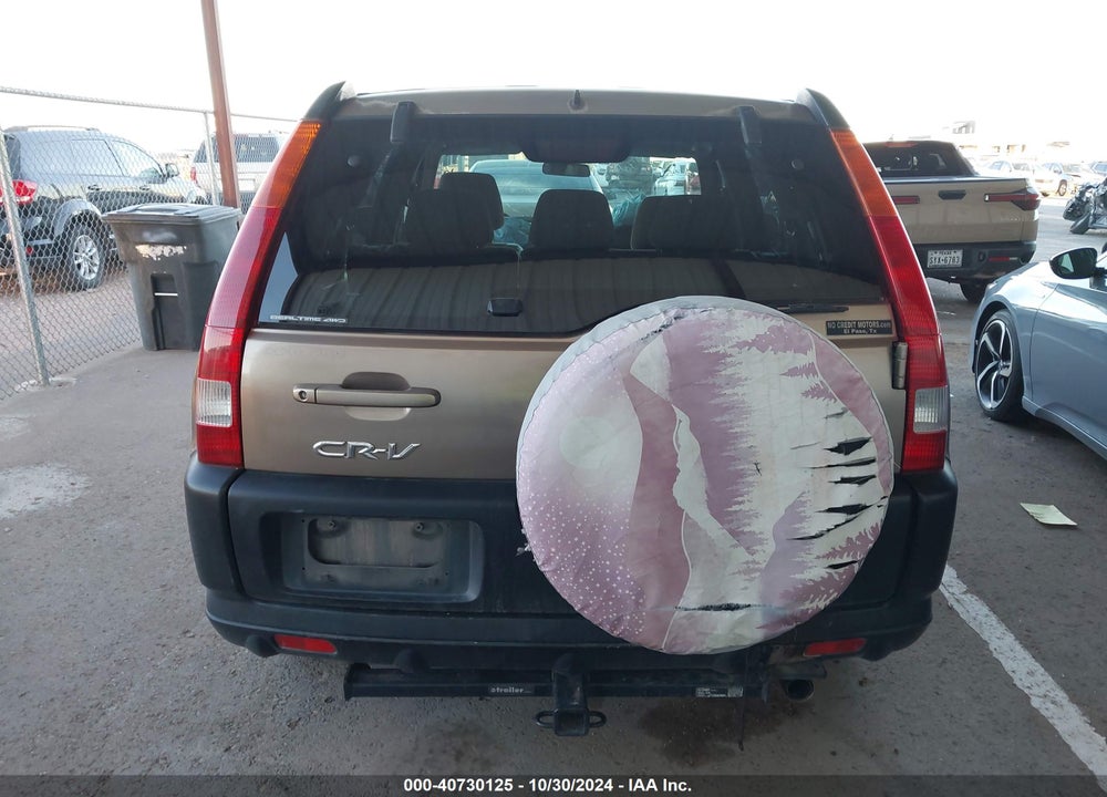 2003 HONDA CR-V EX VIN: JHLRD78873C037485