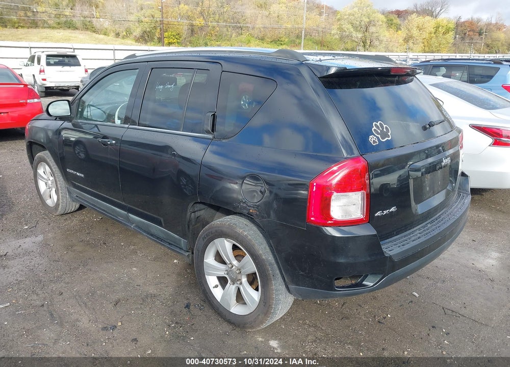 2011 JEEP COMPASS VIN: 1J4NF1FB9BD163867