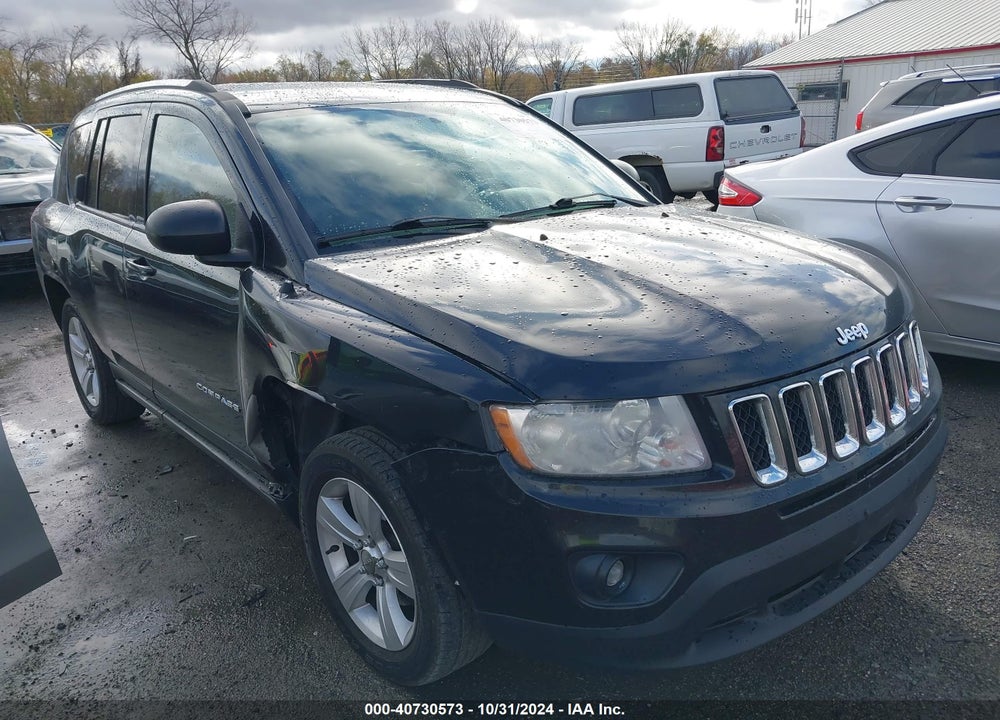 2011 JEEP COMPASS VIN: 1J4NF1FB9BD163867