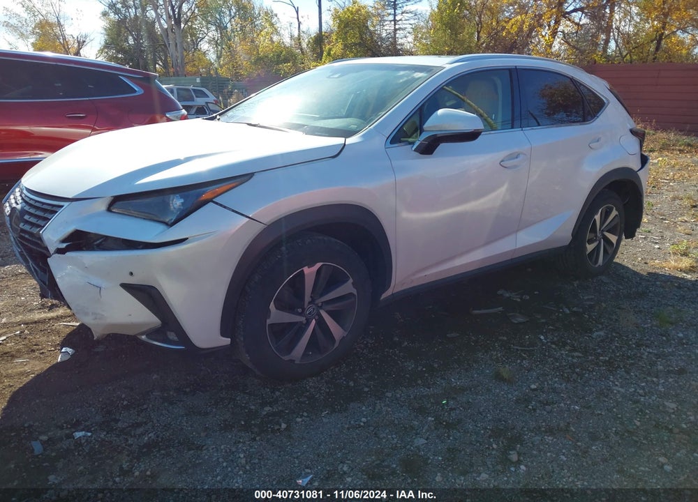 2019 LEXUS NX 300 VIN: JTJBARBZ9K2193730