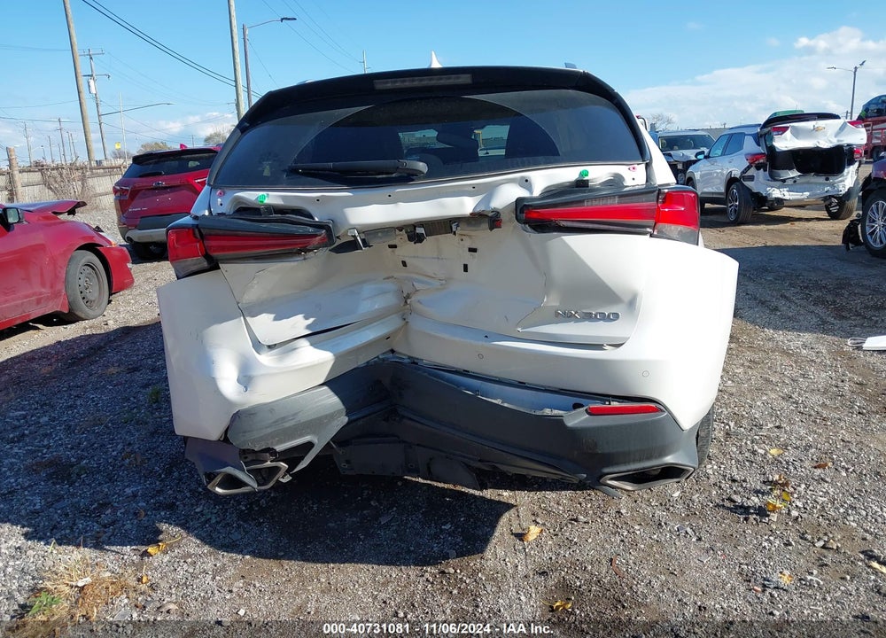 2019 LEXUS NX 300 VIN: JTJBARBZ9K2193730