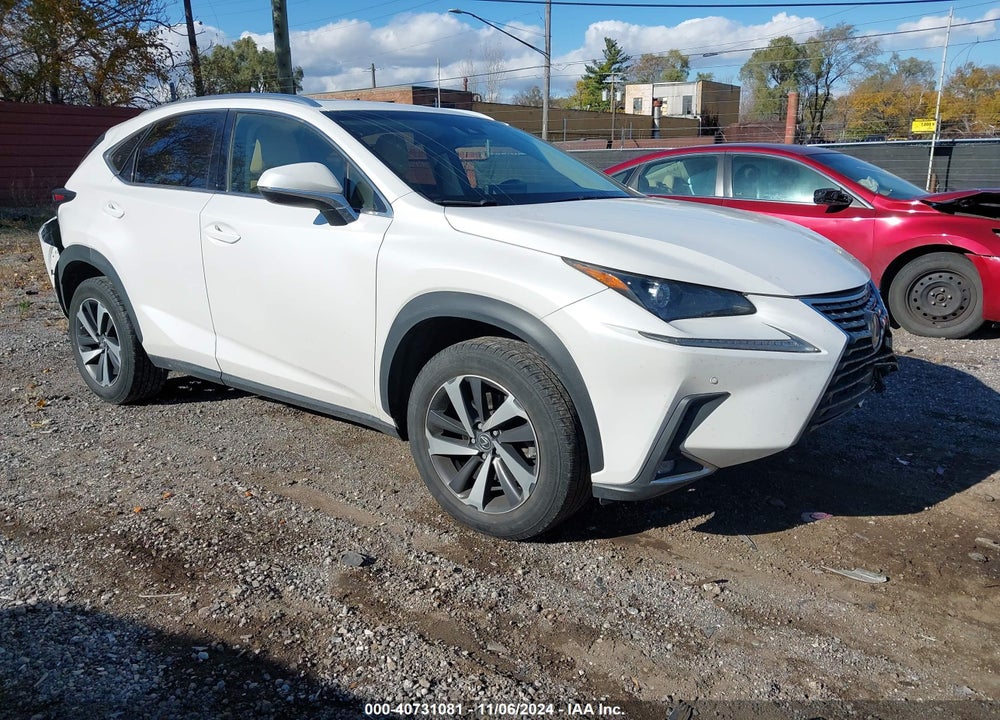 2019 LEXUS NX 300 VIN: JTJBARBZ9K2193730