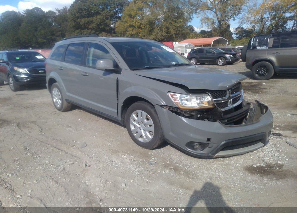 2019 DODGE JOURNEY SE VIN: 3C4PDCBB8KT860219
