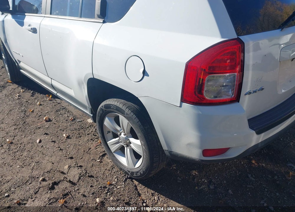 2011 JEEP COMPASS VIN: 1J4NF1FB1BD266636