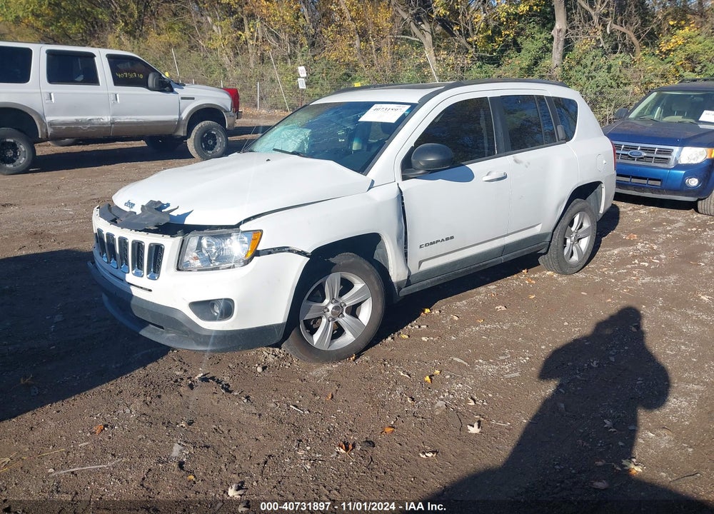 2011 JEEP COMPASS VIN: 1J4NF1FB1BD266636