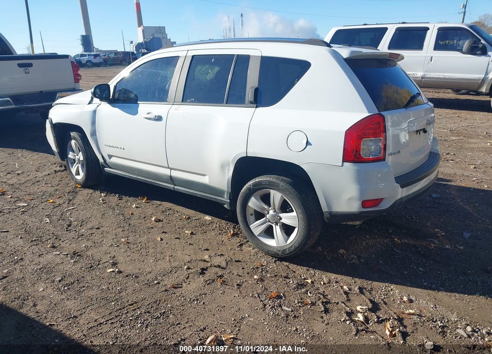 2011 JEEP COMPASS VIN: 1J4NF1FB1BD266636