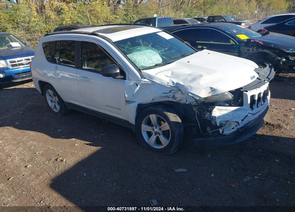 2011 JEEP COMPASS VIN: 1J4NF1FB1BD266636