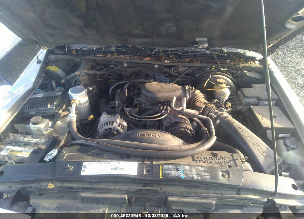 1998 CHEVROLET S-10 LS VIN: 1GCDT19X7W8136389