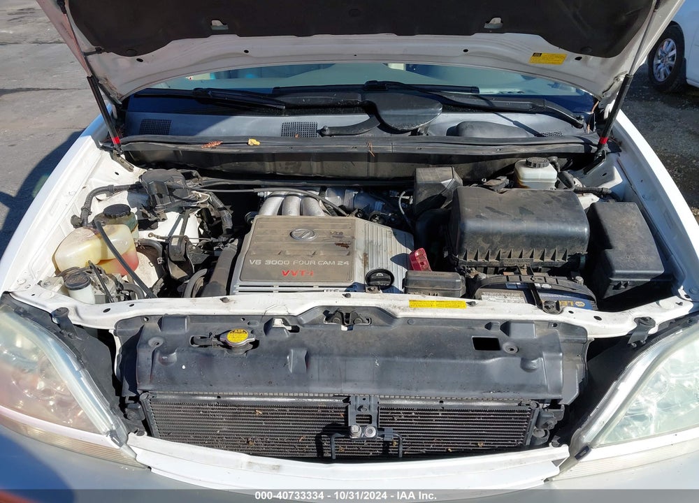 2002 LEXUS RX 300 VIN: JTJHF10U120252771