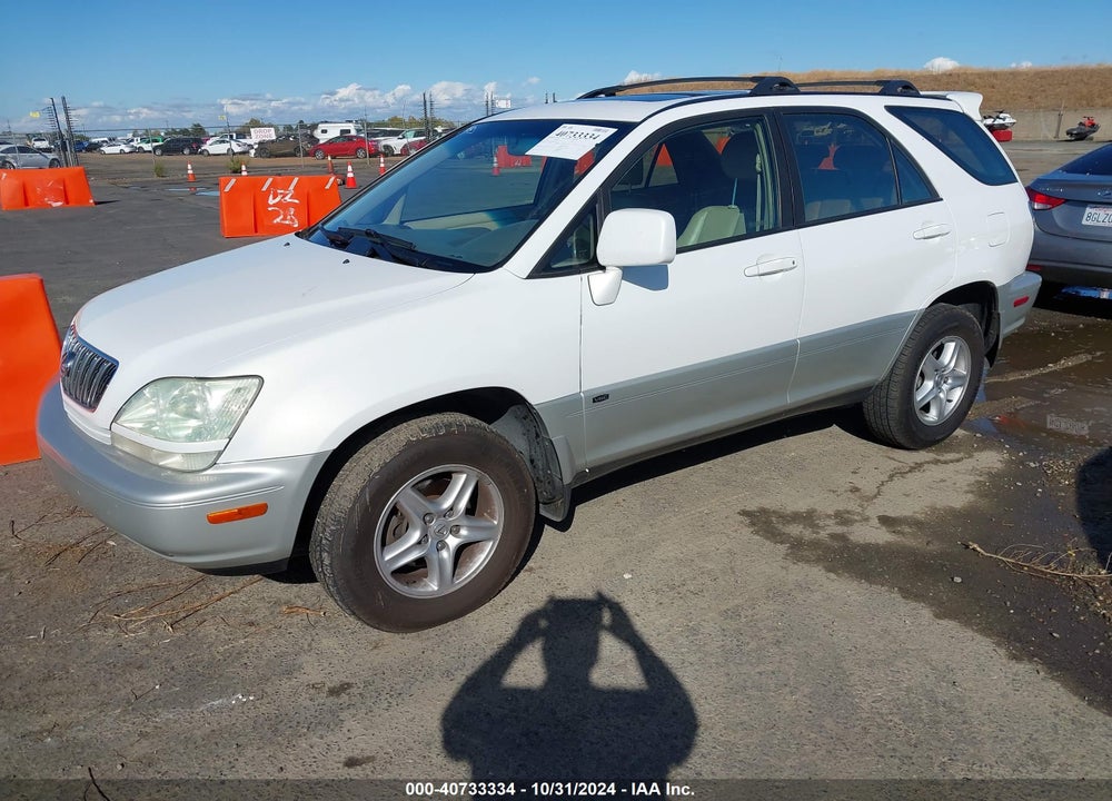 2002 LEXUS RX 300 VIN: JTJHF10U120252771