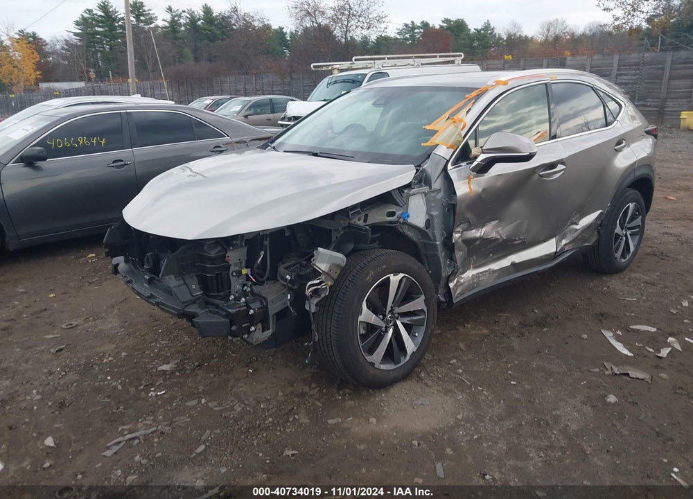 2021 LEXUS NX 300 VIN: JTJGARDZ2M2243843