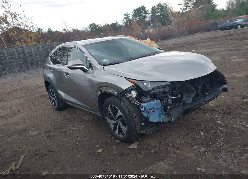 2021 LEXUS NX 300 VIN: JTJGARDZ2M2243843