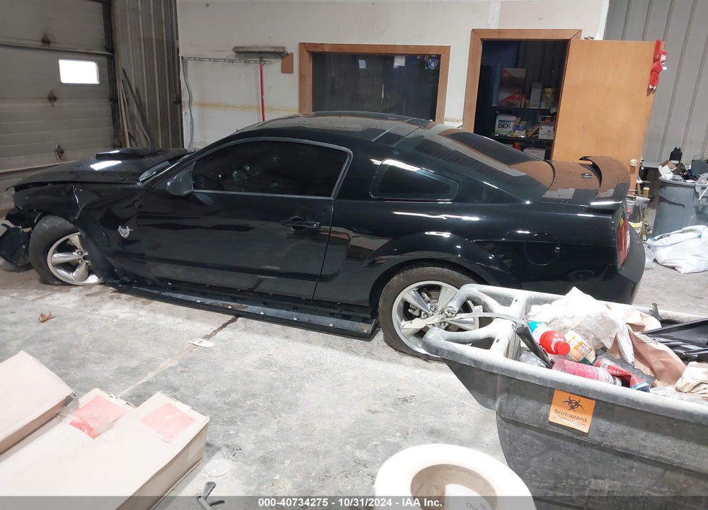 2009 FORD MUSTANG GT PREMIUM VIN: 1ZVHT82H395131898