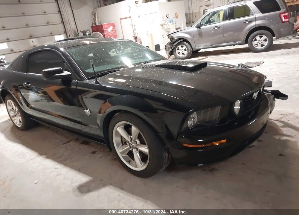 2009 FORD MUSTANG GT PREMIUM VIN: 1ZVHT82H395131898