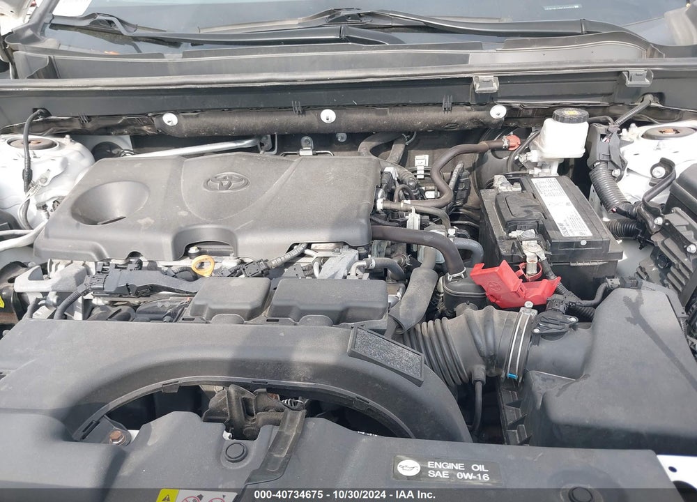 2019 TOYOTA RAV4 XLE VIN: 2T3P1RFV6KC034950