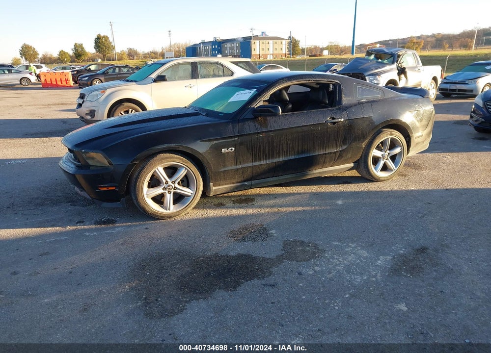 2011 FORD MUSTANG GT PREMIUM VIN: 1ZVBP8CF5B5124013