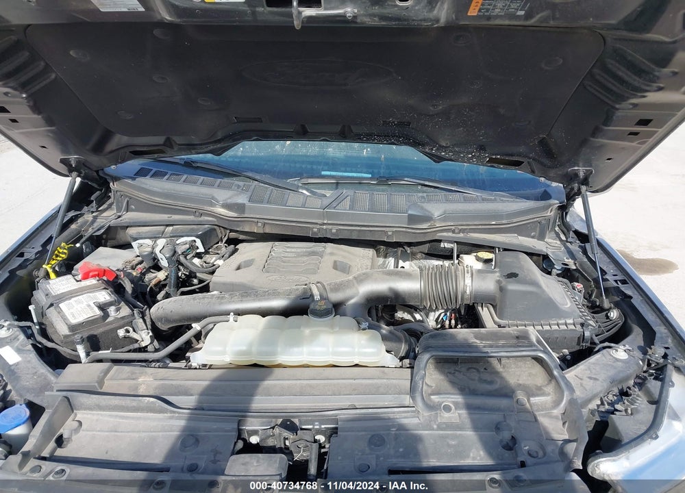 2021 FORD F-150 LARIAT VIN: 1FTFW1E85MFB29884