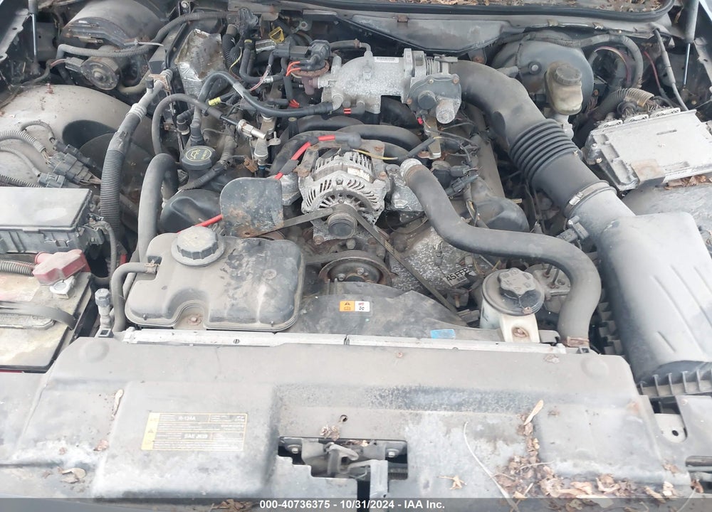 2008 FORD CROWN VICTORIA VIN: 2FAHP71V98X162973