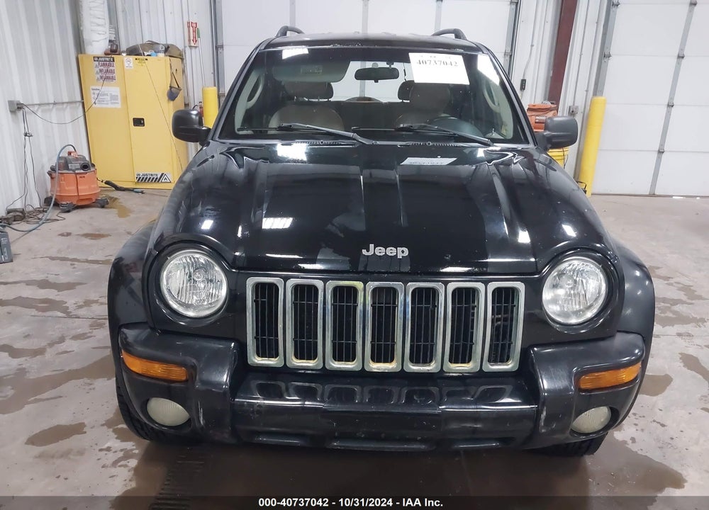 2002 JEEP LIBERTY LIMITED EDITION VIN: 1J4GL58K32W356199