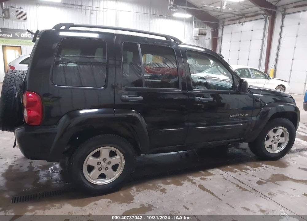 2002 JEEP LIBERTY LIMITED EDITION VIN: 1J4GL58K32W356199