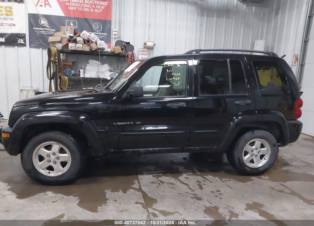 2002 JEEP LIBERTY LIMITED EDITION VIN: 1J4GL58K32W356199
