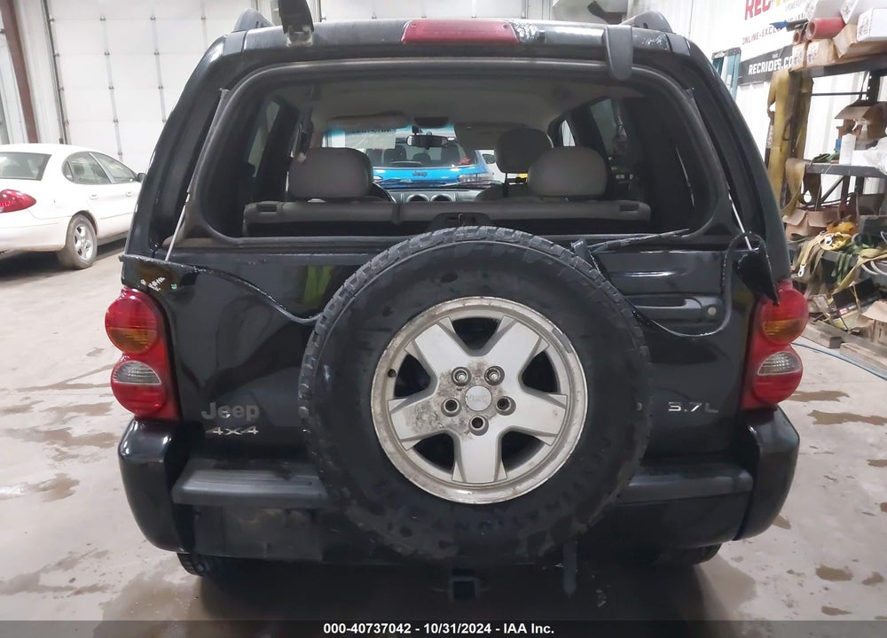 2002 JEEP LIBERTY LIMITED EDITION VIN: 1J4GL58K32W356199