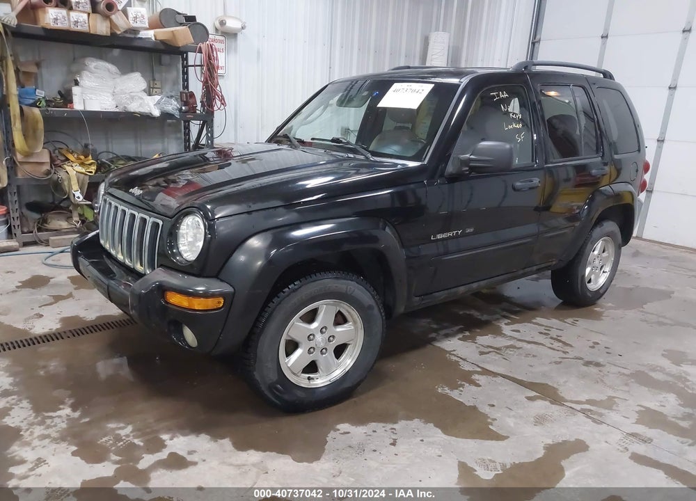 2002 JEEP LIBERTY LIMITED EDITION VIN: 1J4GL58K32W356199