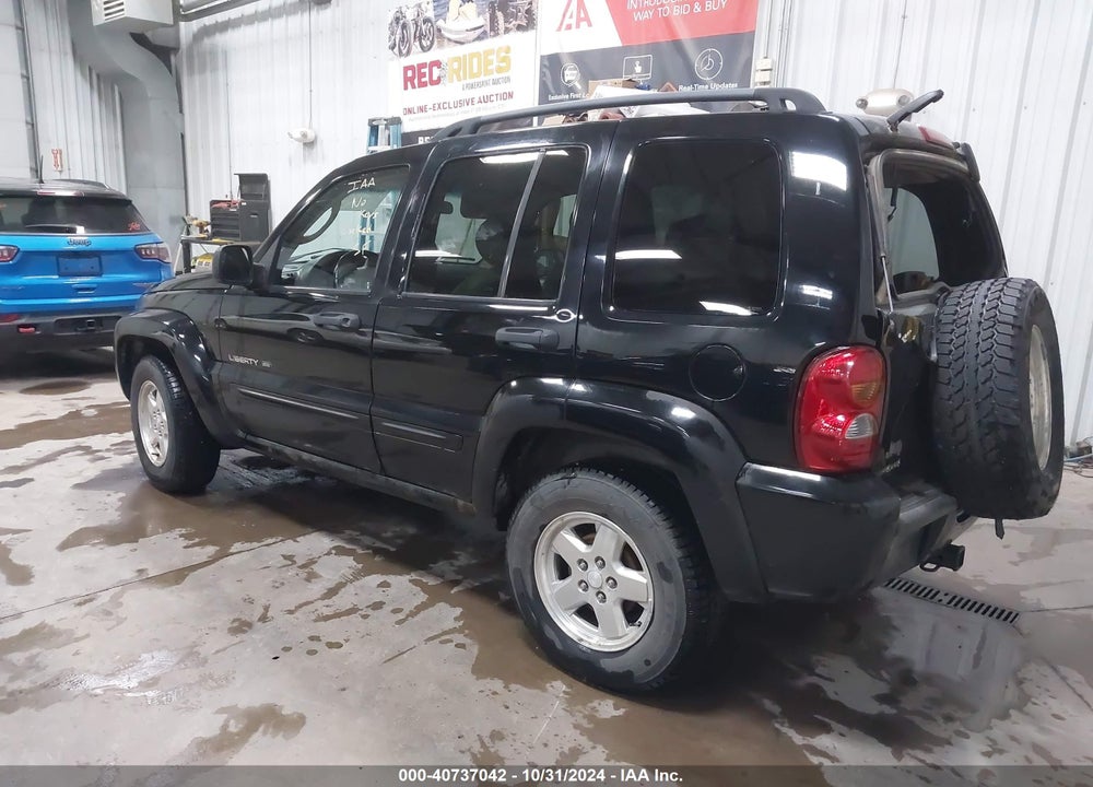 2002 JEEP LIBERTY LIMITED EDITION VIN: 1J4GL58K32W356199