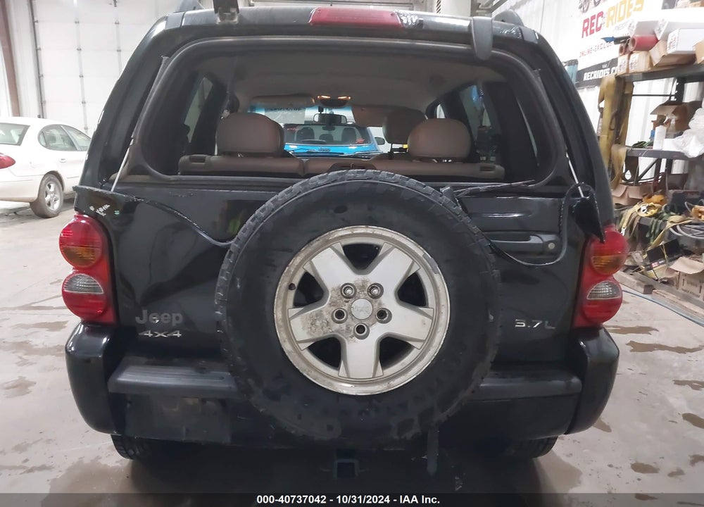 2002 JEEP LIBERTY LIMITED EDITION VIN: 1J4GL58K32W356199