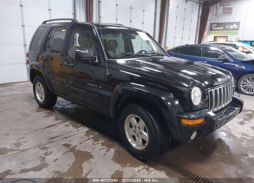 2002 JEEP LIBERTY LIMITED EDITION VIN: 1J4GL58K32W356199