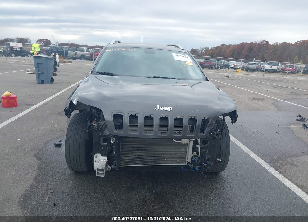 2019 JEEP CHEROKEE LIMITED 4X4 VIN: 1C4PJMDX9KD141042