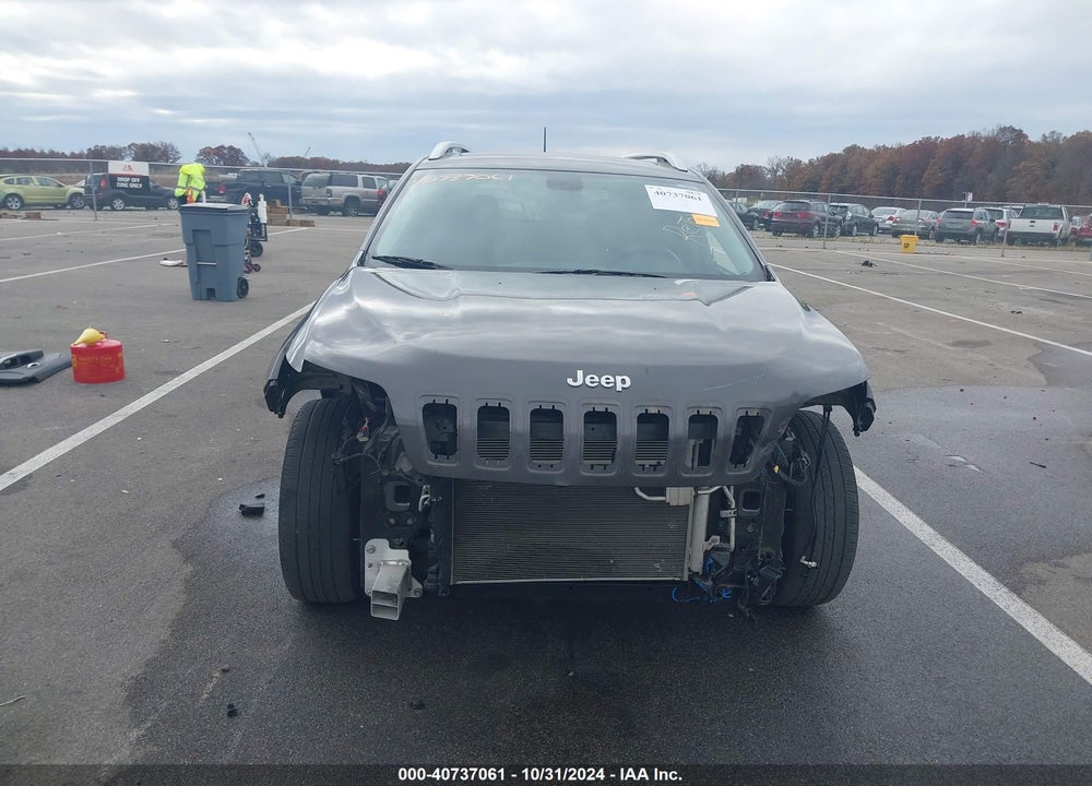 2019 JEEP CHEROKEE LIMITED 4X4 VIN: 1C4PJMDX9KD141042