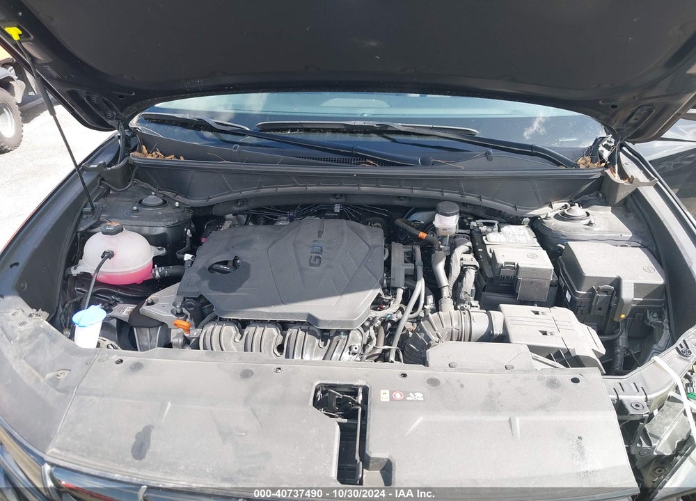 2024 HYUNDAI TUCSON LIMITED VIN: 5NMJECDE7RH306123