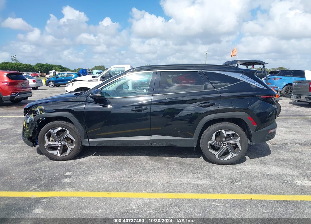 2024 HYUNDAI TUCSON LIMITED VIN: 5NMJECDE7RH306123