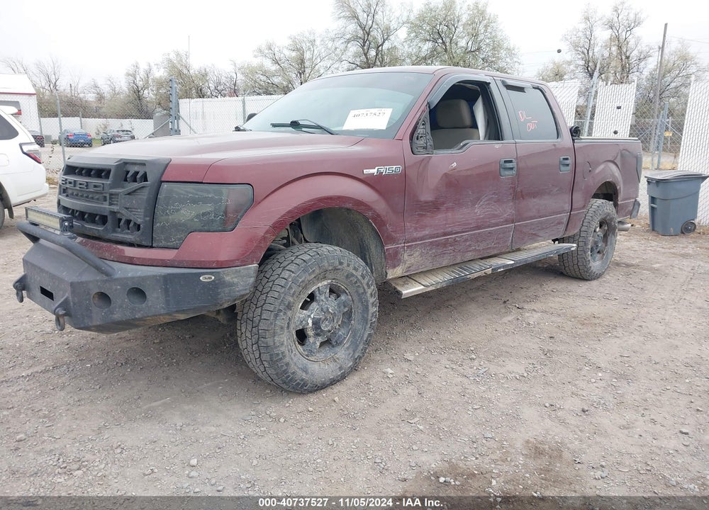 2009 FORD F-150 XL/XLT VIN: 1FTRW14819FB02591